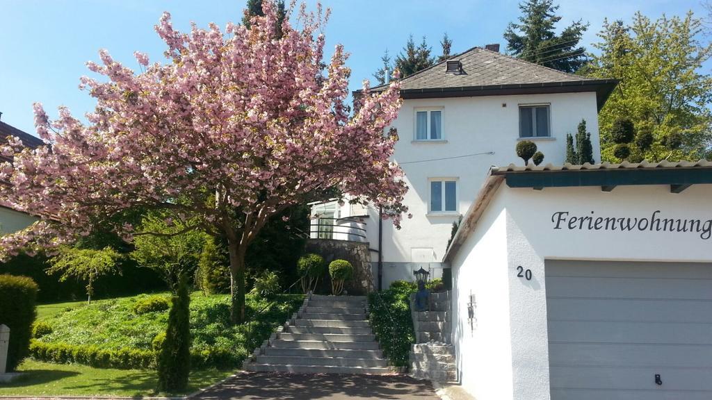 Burgauer Hof Apartment Ruang foto